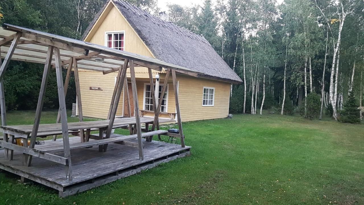 Дома для отпуска Marta-Lovise puhkemaja Kristiine Kipi